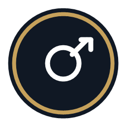 Industrial security icon